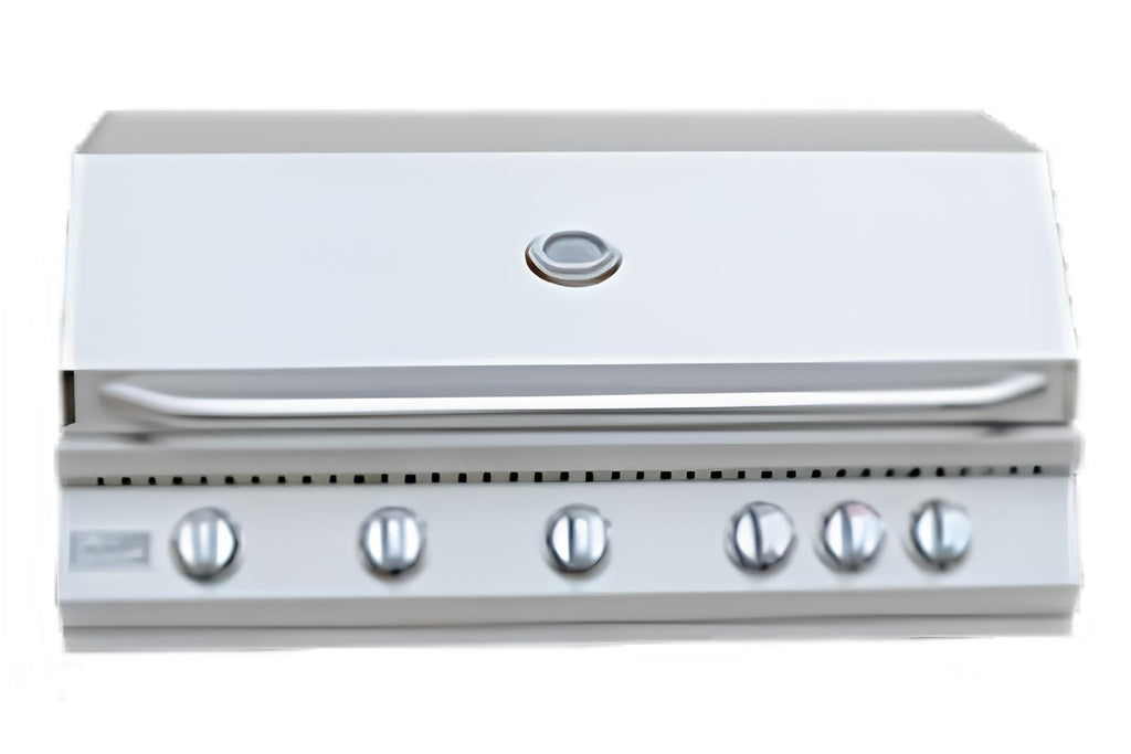 5 Burner Built-In Stainless Steel Propane Gas Grill with Back Burner H43810