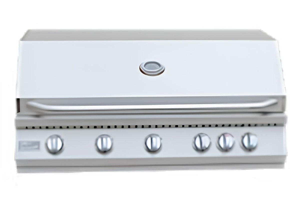 5 Burner Built-In Stainless Steel Propane Gas Grill with Back Burner H43810