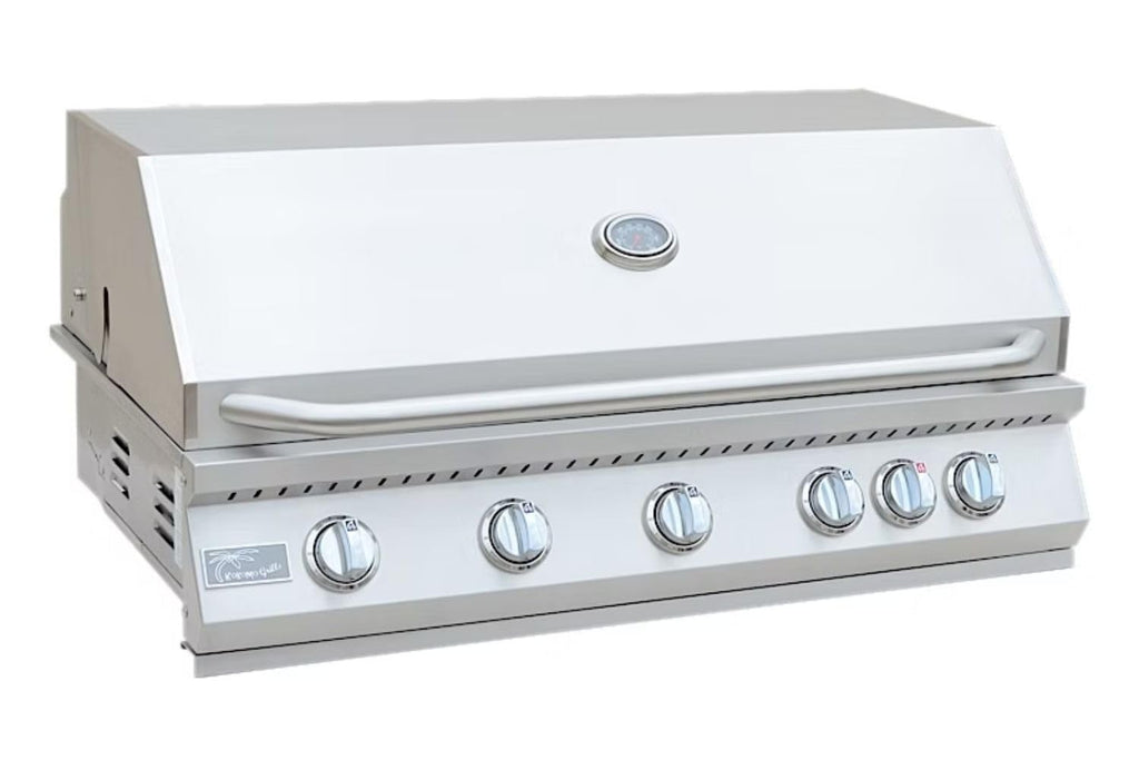 5 Burner Built-In Stainless Steel Propane Gas Grill with Back Burner H43810