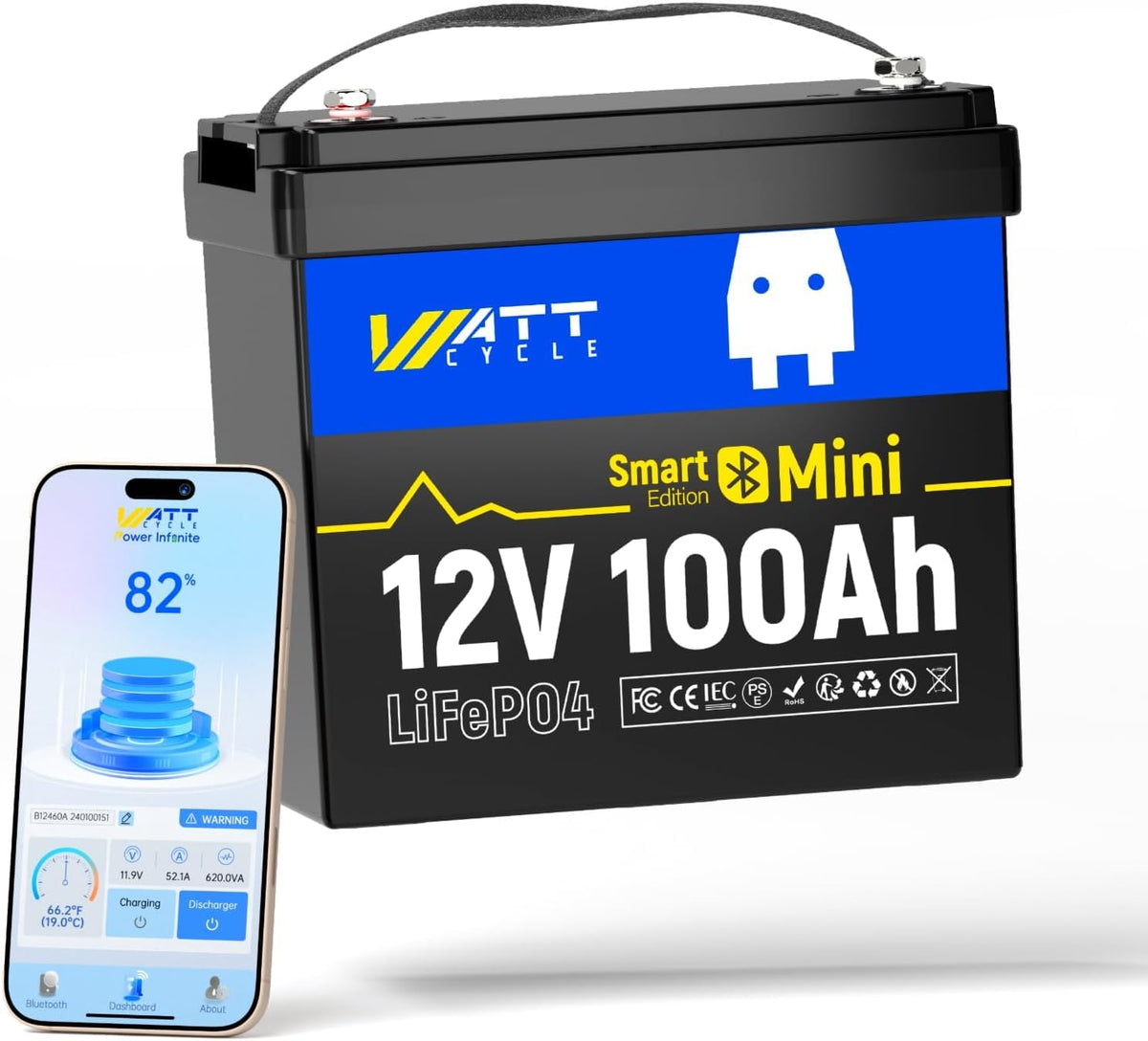 12V 100Ah Mini LiFePO4 Battery Group 24 W25677