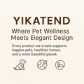 Elevated Stainless Steel Cat and Dog Bowl Set H3761