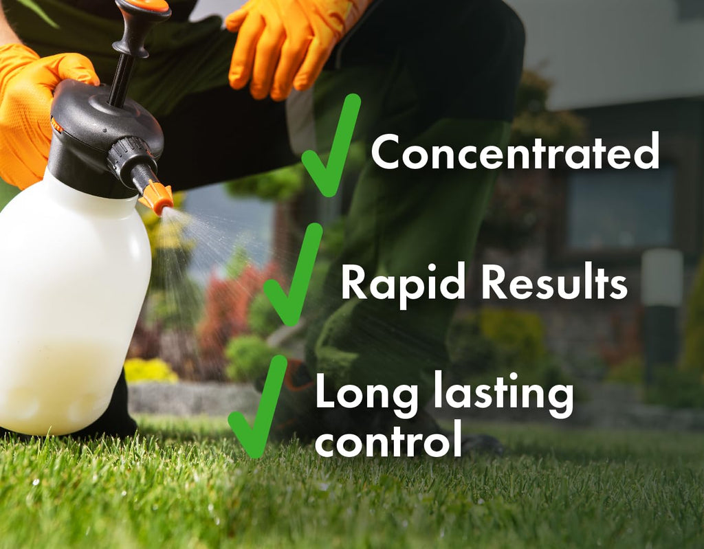 Non-Ionic Surfactant 16 Ounces and 2,4-D MCPA Dicamba Lawn Weed Killer 32 Ounces O717