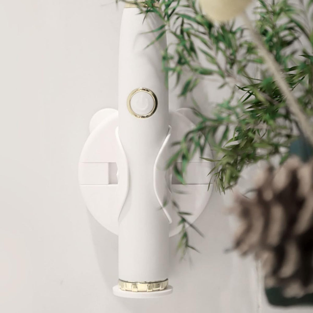 Wall Mounted Electric Toothbrush Rack Q740