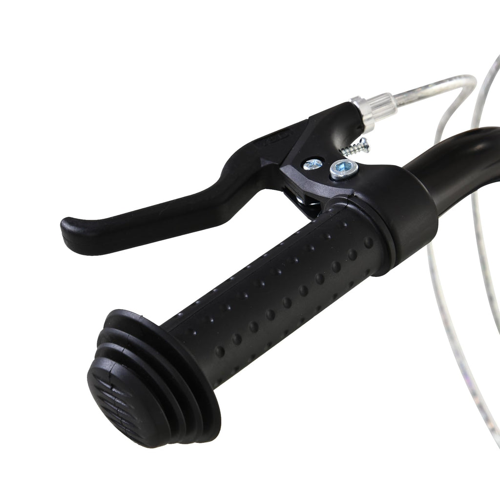 Youth Scooter Q485