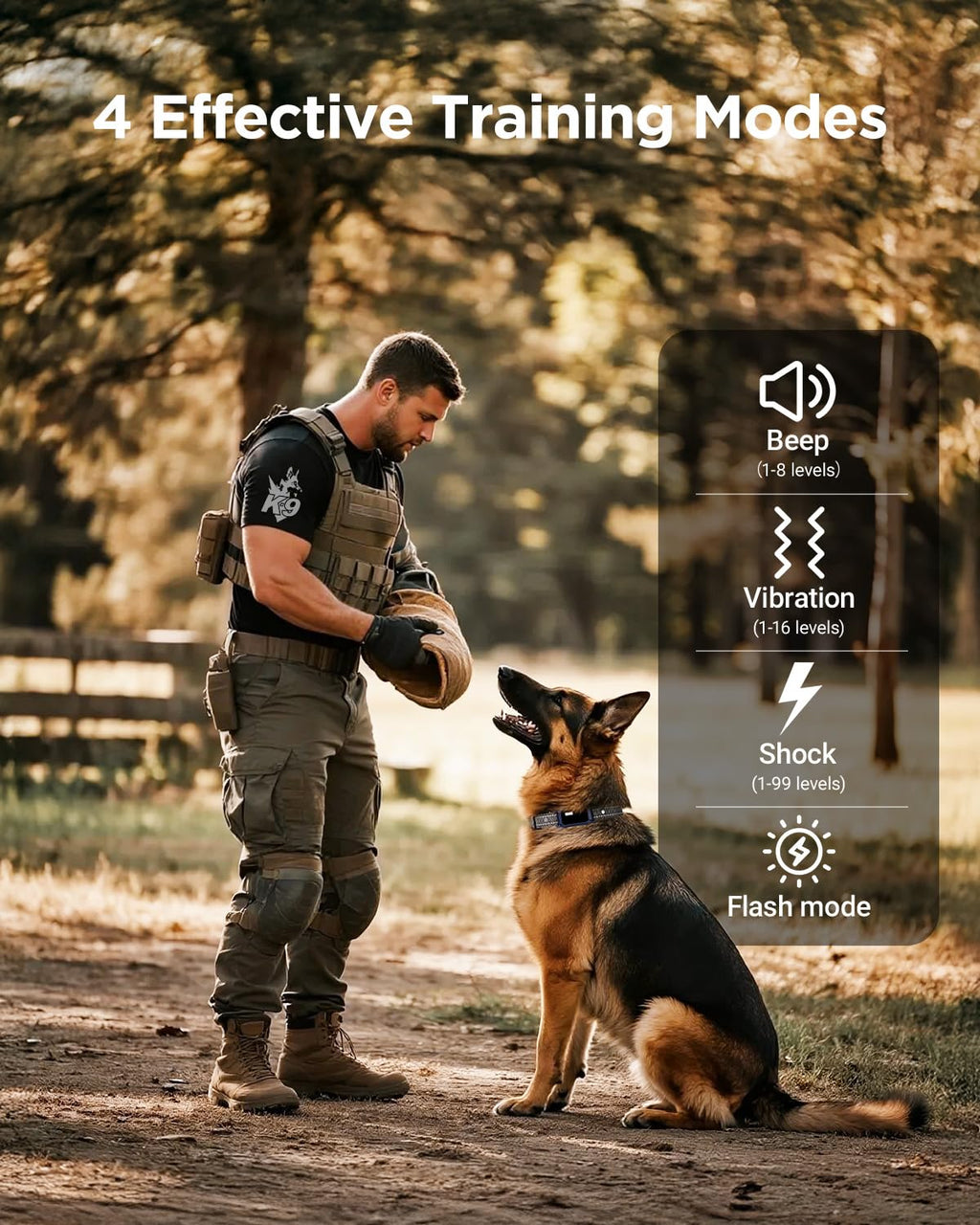2 Dogs Dog Training Collar with Remote, 4 Training Modes, IP67 Waterproof X130