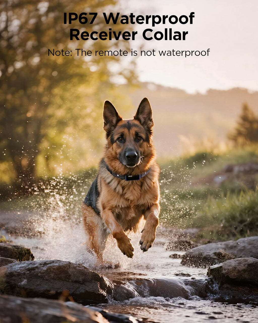 2 Dogs Dog Training Collar with Remote, 4 Training Modes, IP67 Waterproof X130