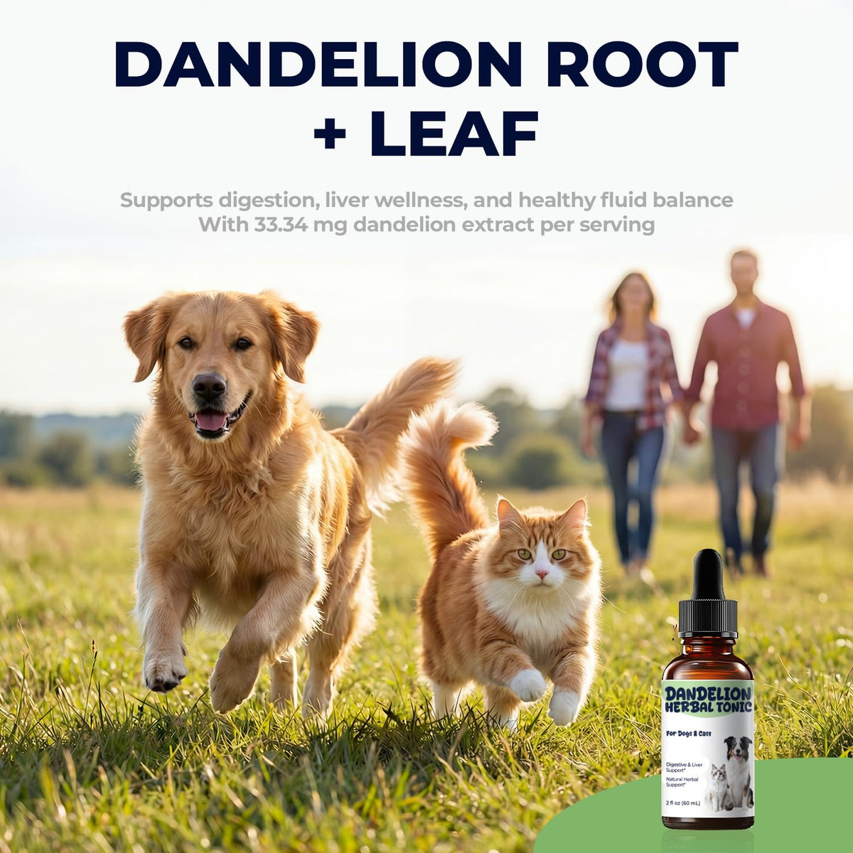 Dandelion Root & Leaf Extract Drops F94443