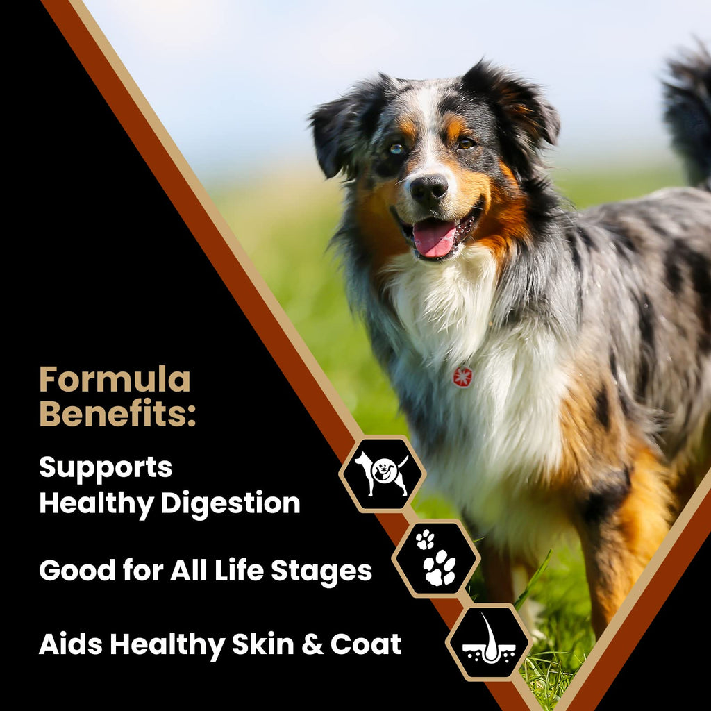 Chicken Meal & Brown Rice Formula Dry Dog Food, 40 lb B925643