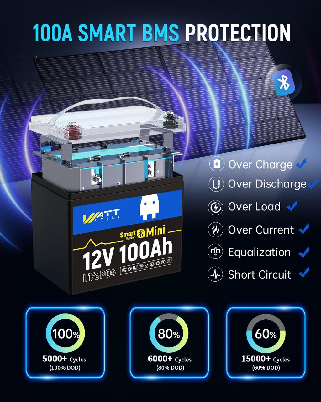 12V 100Ah Mini LiFePO4 Battery Group 24 W25677