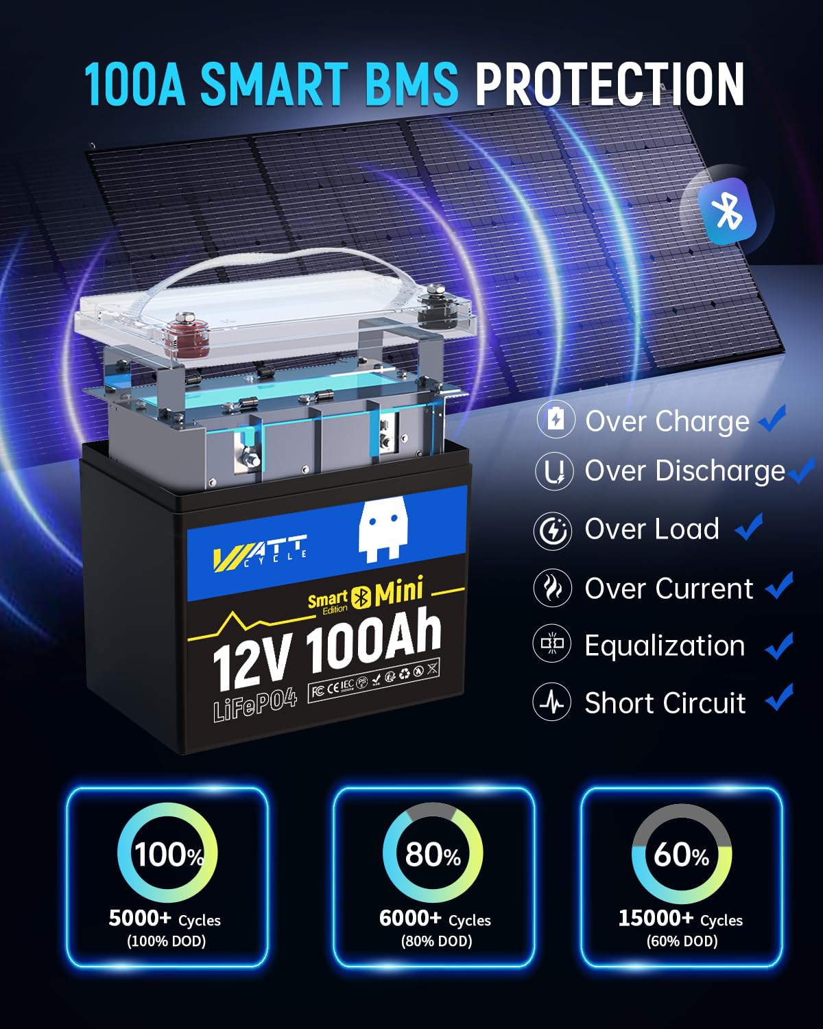 12V 100Ah Mini LiFePO4 Battery Group 24 W25677