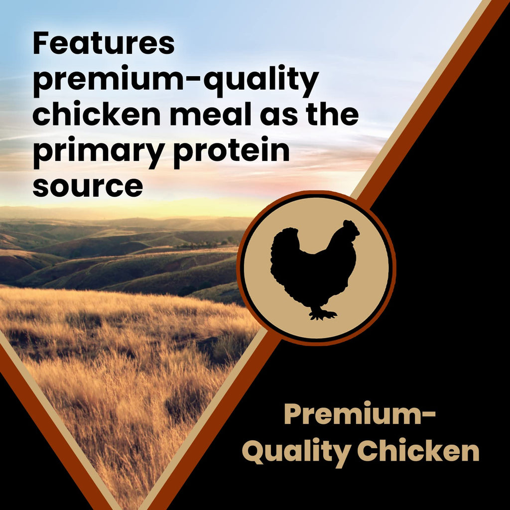 Chicken Meal & Brown Rice Formula Dry Dog Food, 40 lb B925643