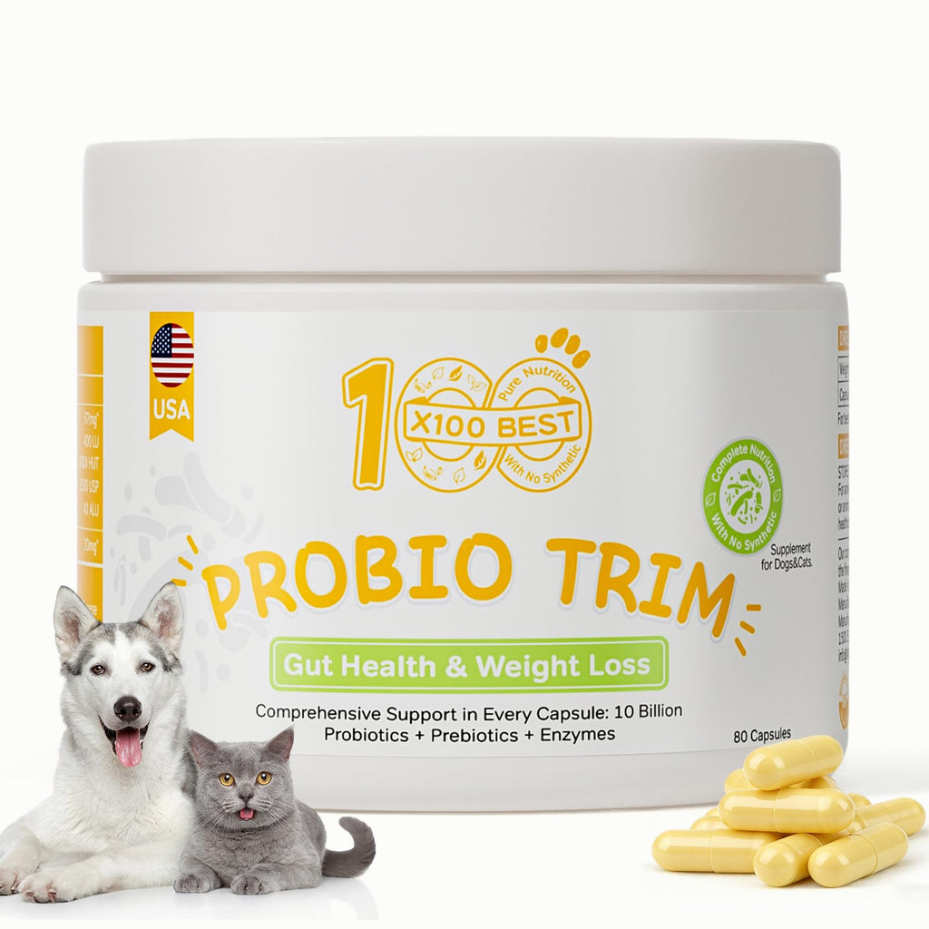 Probiotics for Dogs and Cats V338
