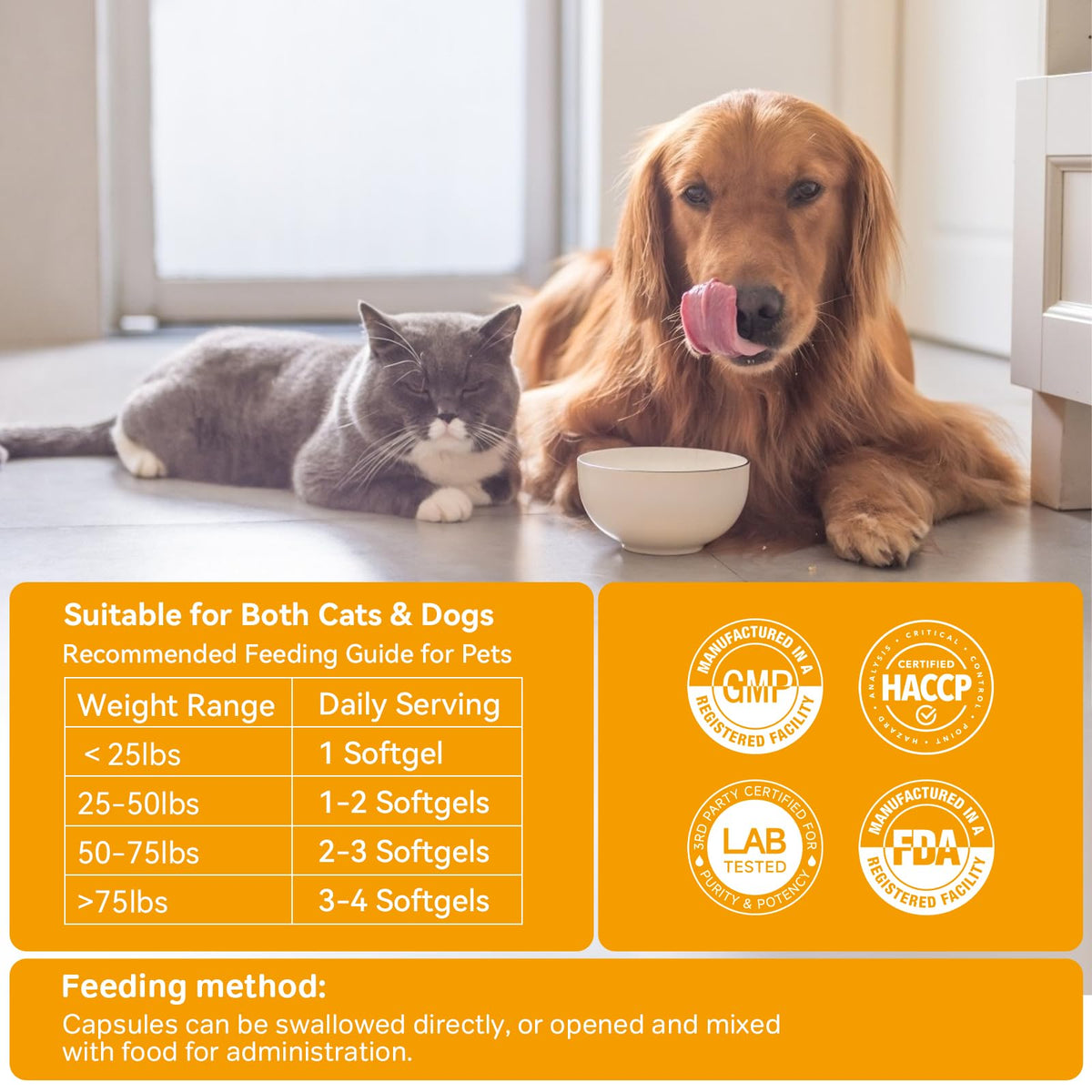 Probiotics for Dogs and Cats V338