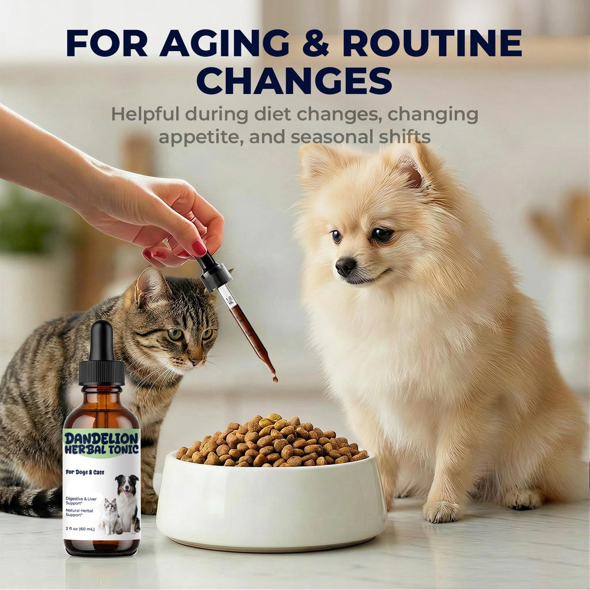 Dandelion Root & Leaf Extract Drops F94443