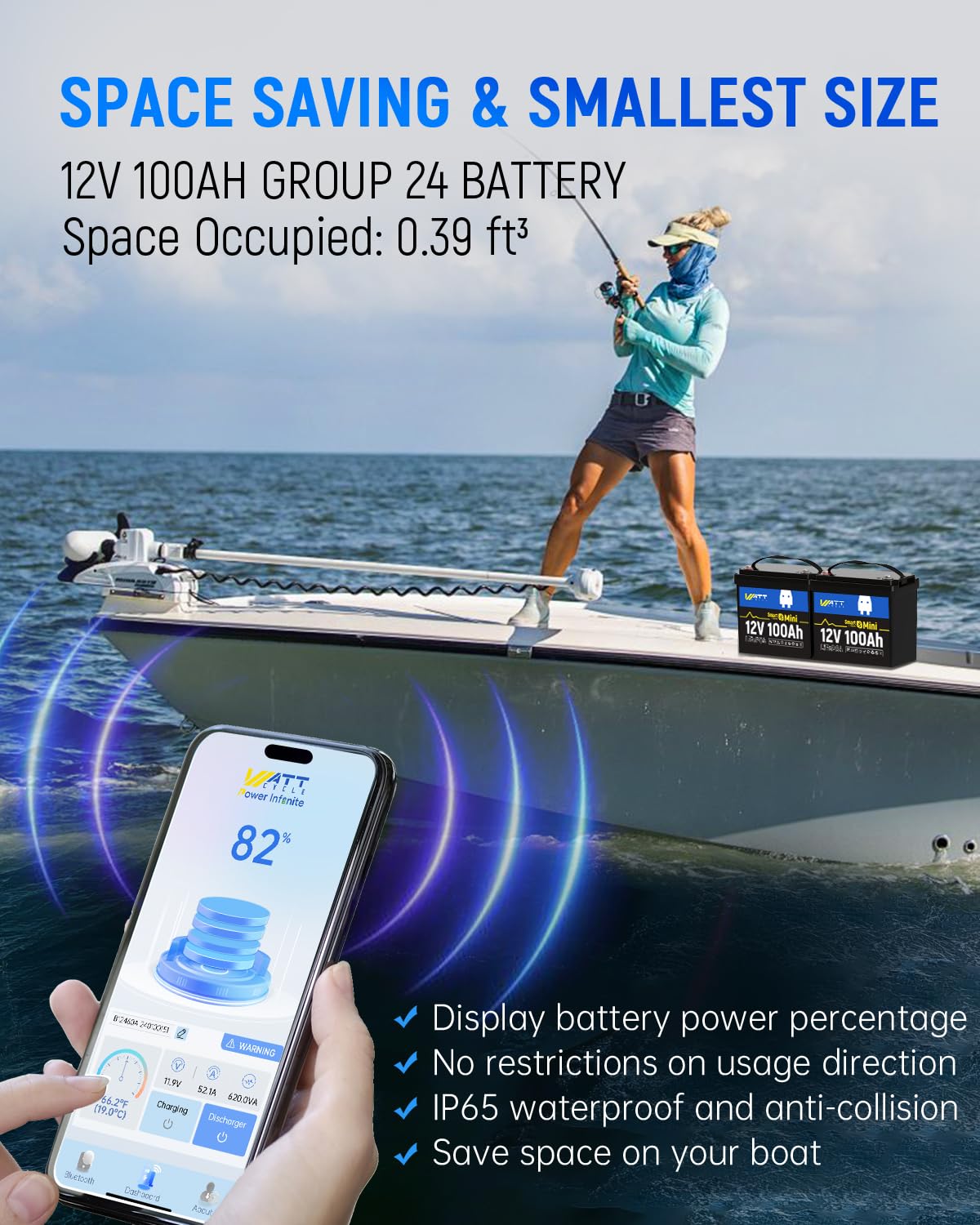 12V 100Ah Mini LiFePO4 Battery Group 24 W25677