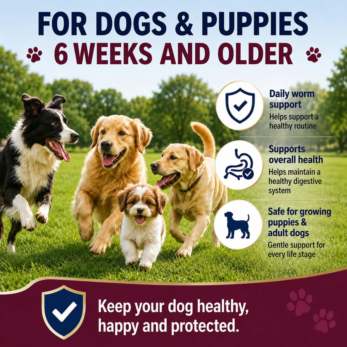Dewormer for Dogs, 50 Tablets Z858