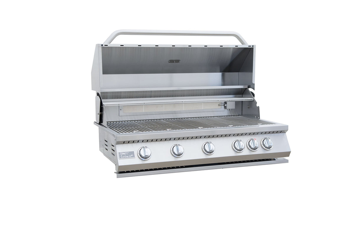 5 Burner Built-In Stainless Steel Propane Gas Grill with Back Burner H43810
