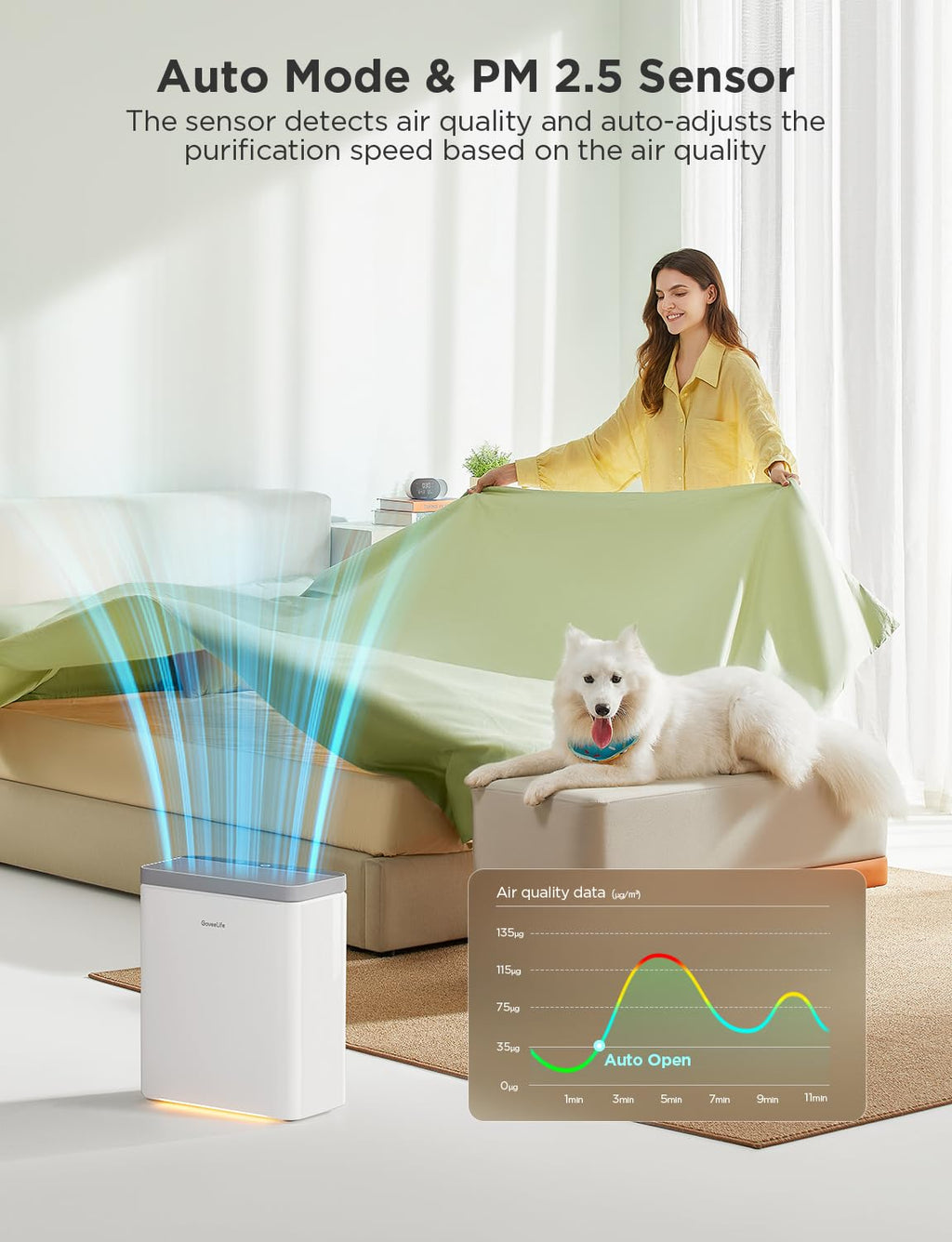 Dehumidifier with Air Purifier S5800