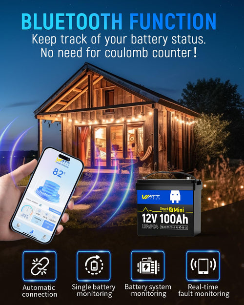 12V 100Ah Mini LiFePO4 Battery Group 24 W25677