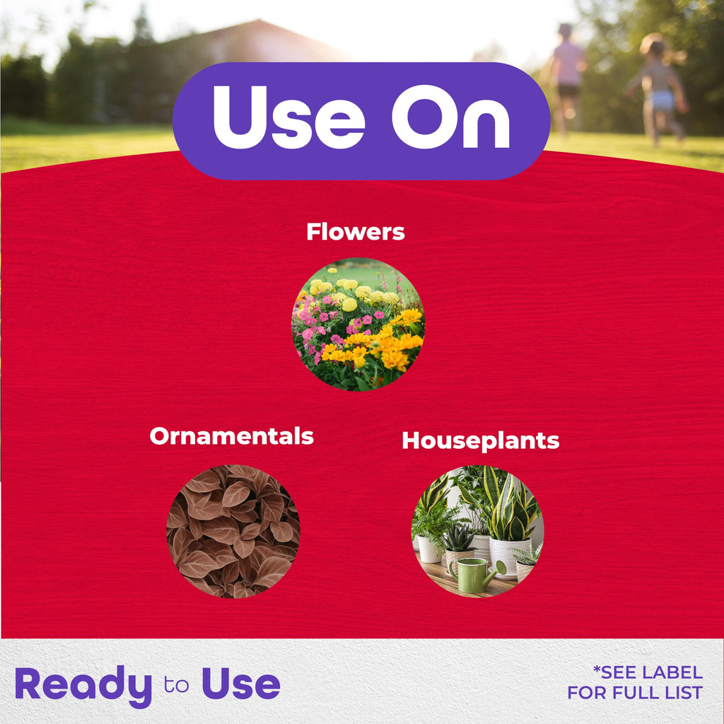 Insect Control Systemic Granules 4 lbs K899027