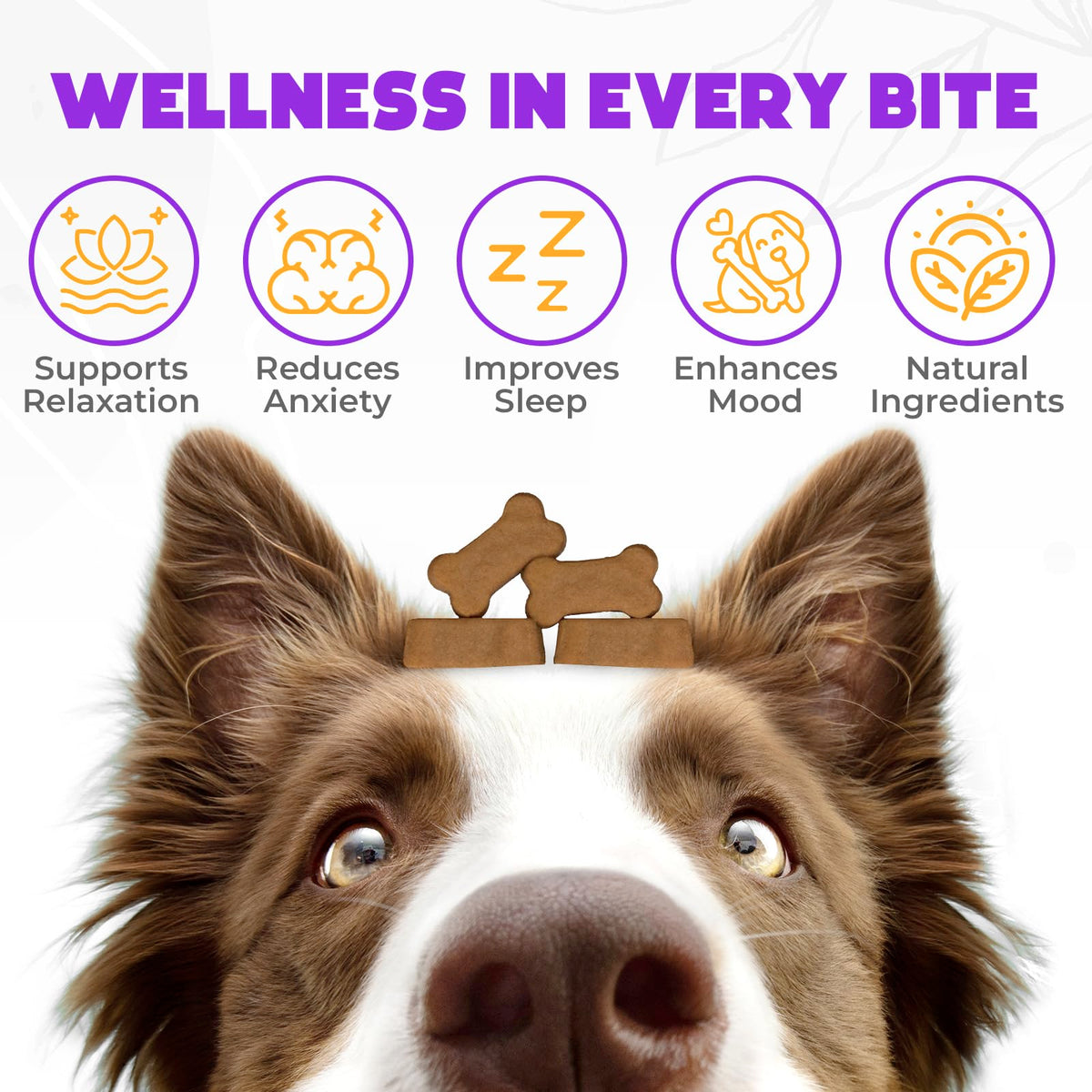 Chicken Flavor 60 Count Calming Chews for Dogs I483