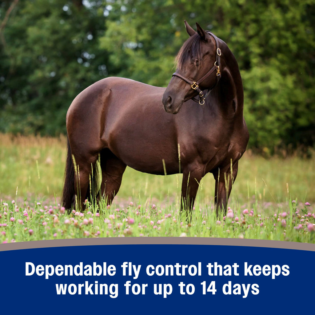 Fly Spray for Horses 128 oz F5248