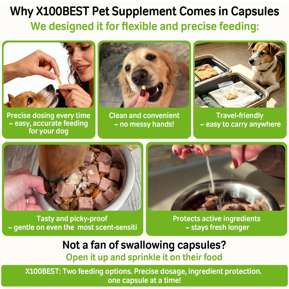 Probiotics for Dogs and Cats V338