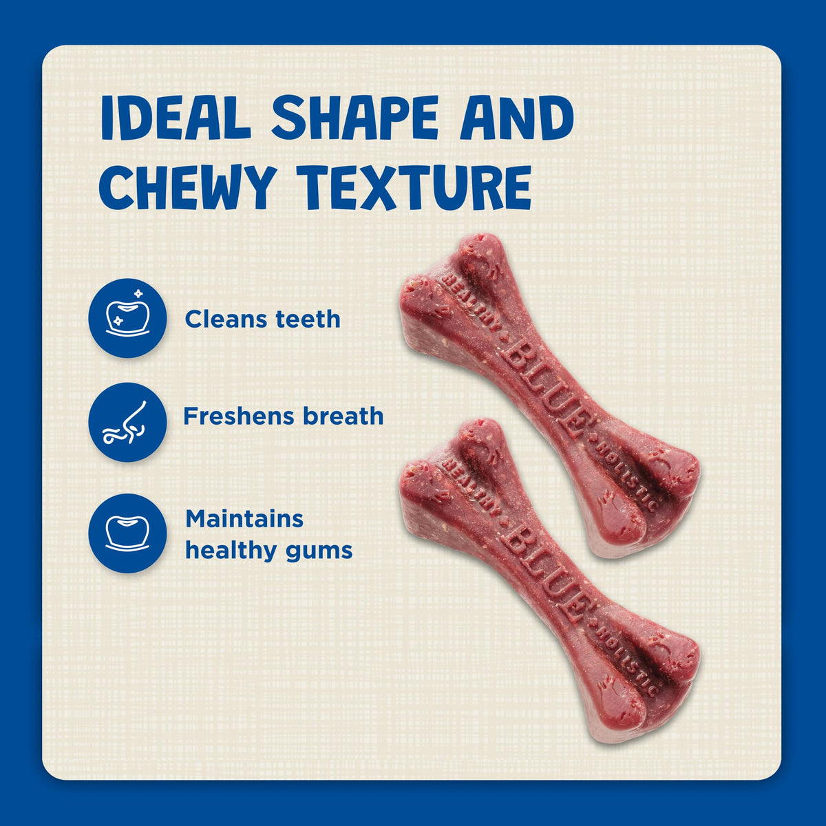 Dental Bones 36 oz R1203