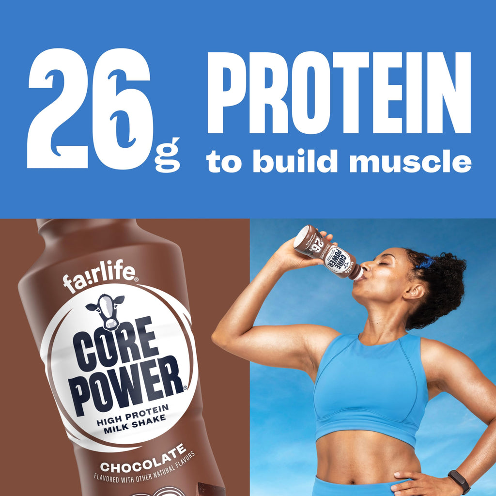 26g Protein Chocolate Milk Shakes 14 Fl Oz (Pack of 12) D347
