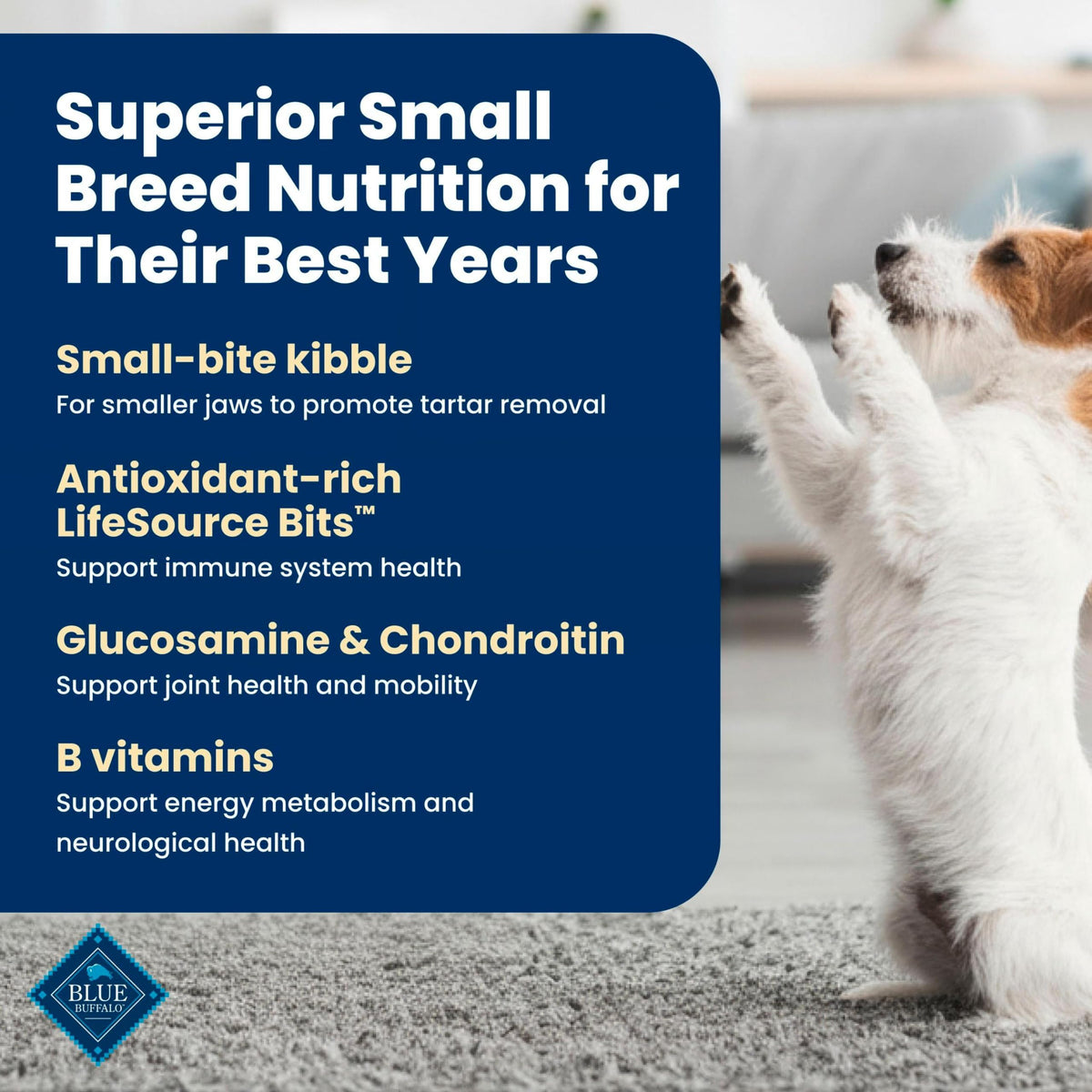Chicken Small Senior Dog Food 5 lb P406