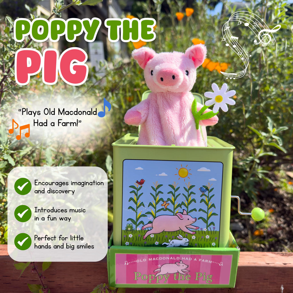 Pig Jack in the Box T356668