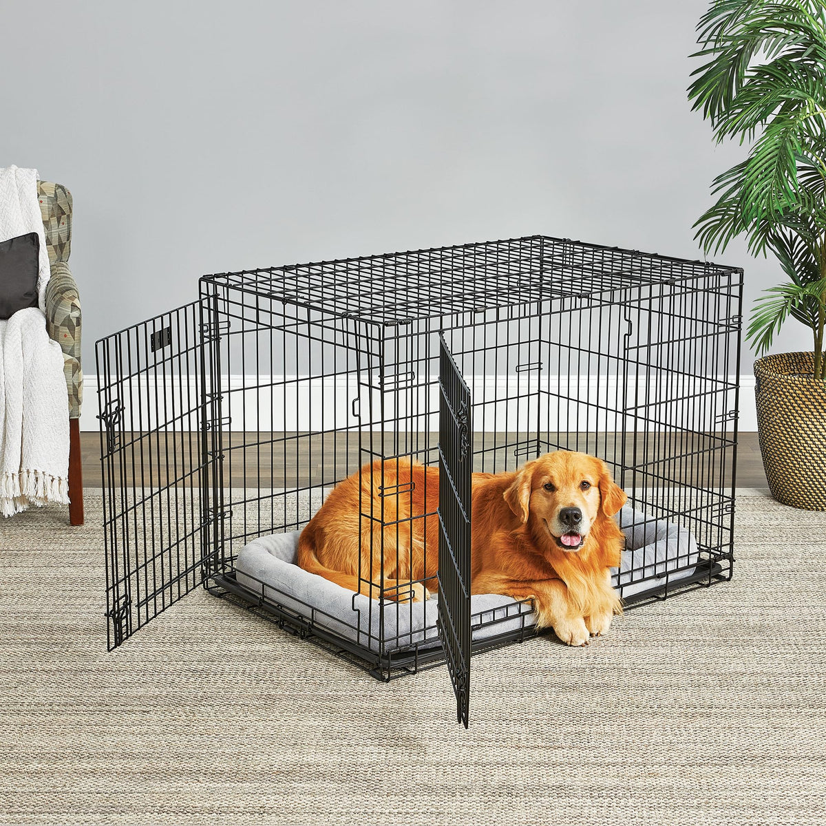 42-Inch Double Door Crate X169189